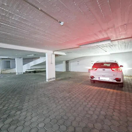 Marachique Elegant アルヴォル