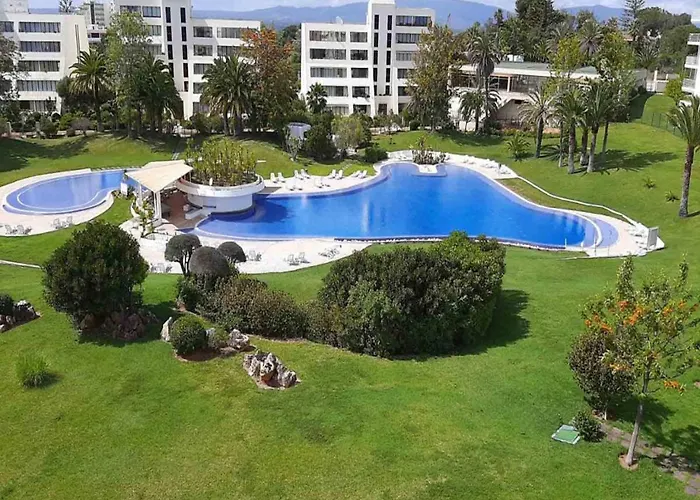 Marachique Elegant *