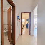 Marachique Elegant 알보르