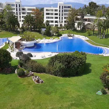 Marachique Elegant *